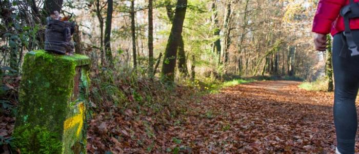 fairway-camino-santiago