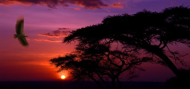 viajes de incentivo comprometidos, Africa